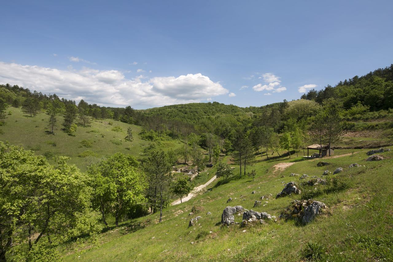 פאזין Resort Cize מראה חיצוני תמונה